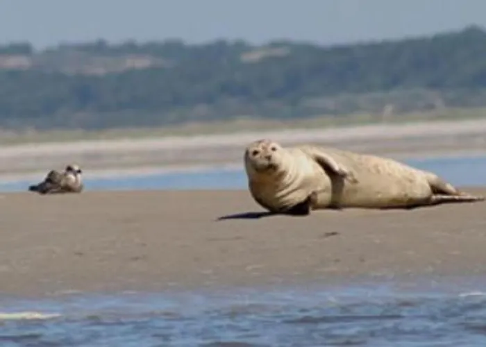 Chez Marie à 5kms De St Valery Sur Somme Hébergement de vacances Pendé